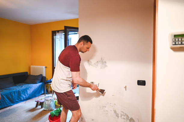 Best Bathroom Mold Remediation in Yorkvle, IL